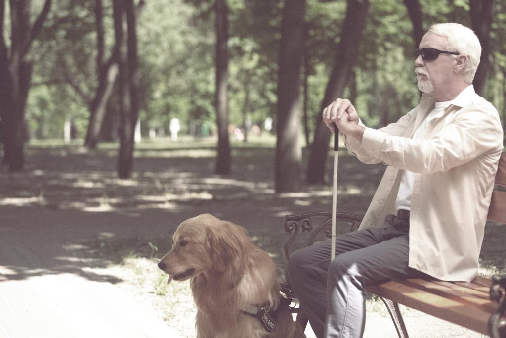 Visually Impaired Man on Park Bench